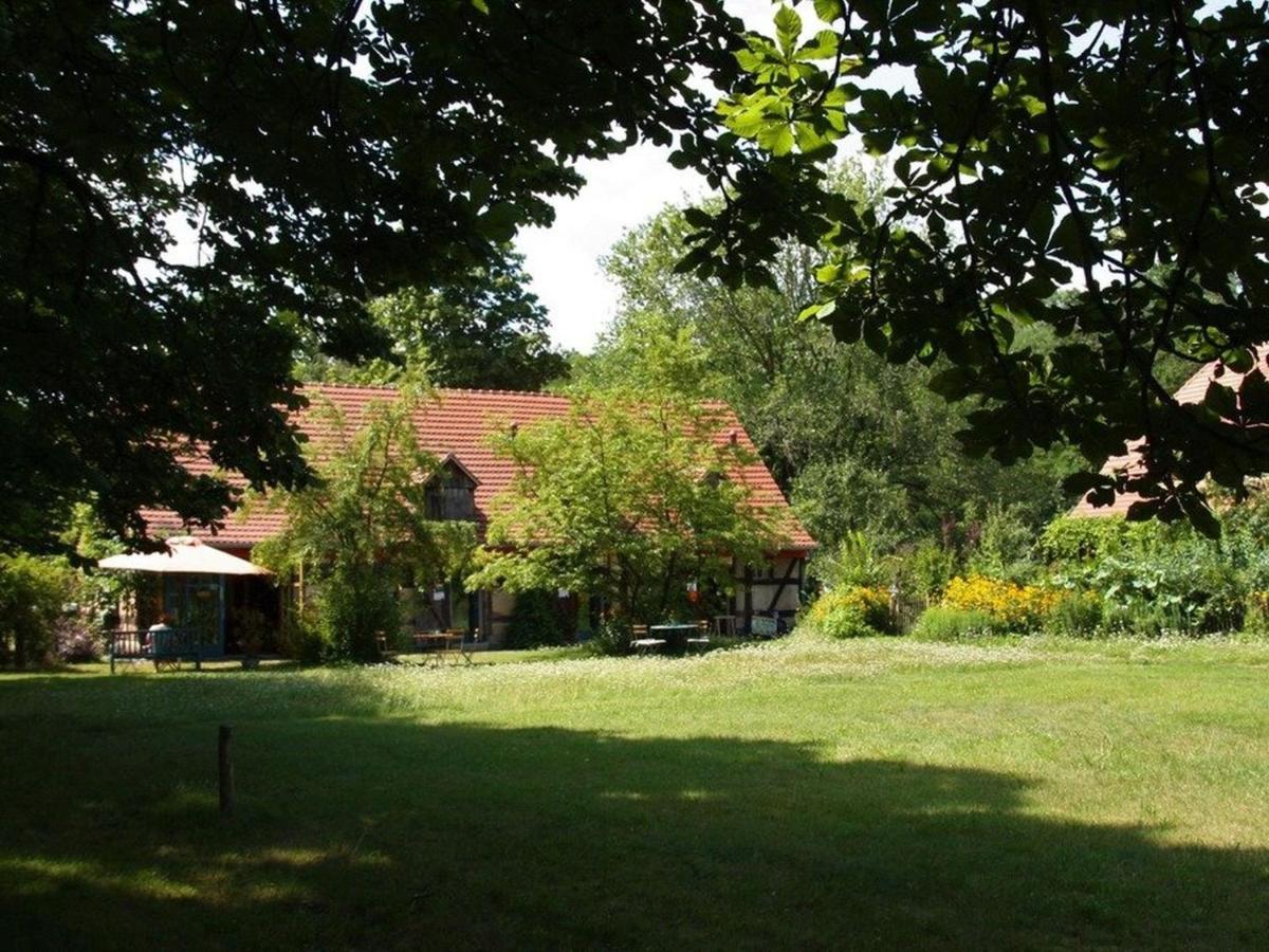 Ferienwohnung Am Roten Schloss Glashutte  Exteriér fotografie